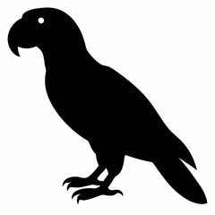 Parrot vector illustration, bird  isolated on white, Parrot silhouette, Parrot vector art