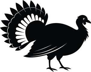 Turkey cock bird animal silhouette, wild turkey black silhouette vector art, thanksgiving turkey 
