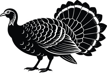 Turkey cock bird animal silhouette, wild turkey black silhouette vector art, thanksgiving turkey 
