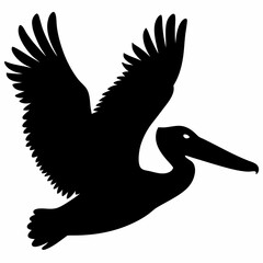 Pelican vector illustration, bird  isolated on white, Parrot silhouette, Parrot vector art