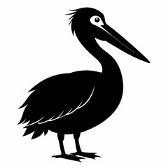 Pelican vector illustration, bird  isolated on white, Parrot silhouette, Parrot vector art