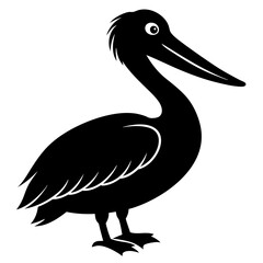 Pelican vector illustration, bird  isolated on white, Parrot silhouette, Parrot vector art