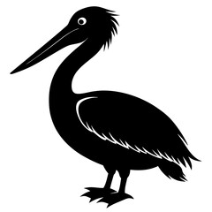 Pelican vector illustration, bird  isolated on white, Parrot silhouette, Parrot vector art