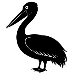 Pelican vector illustration, bird  isolated on white, Parrot silhouette, Parrot vector art