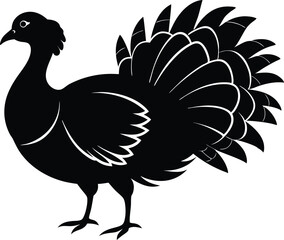 Turkey cock bird animal silhouette, wild turkey black silhouette vector art, thanksgiving turkey 
