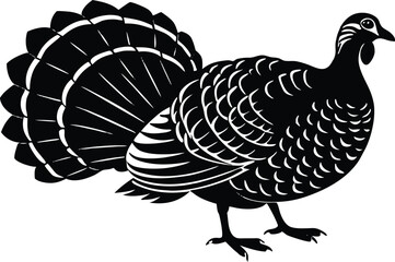 Turkey cock bird animal silhouette, wild turkey black silhouette vector art, thanksgiving turkey 
