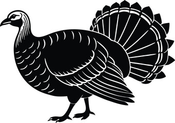 Turkey cock bird animal silhouette, wild turkey black silhouette vector art, thanksgiving turkey 
