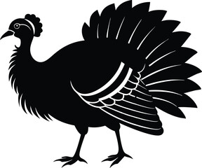 Turkey cock bird animal silhouette, wild turkey black silhouette vector art, thanksgiving turkey 
