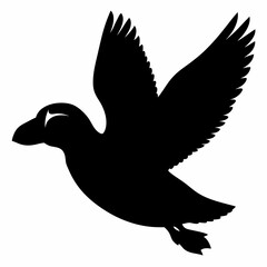 Puffin vector illustration, bird  isolated on white, Puffin silhouette, Puffin  vector art