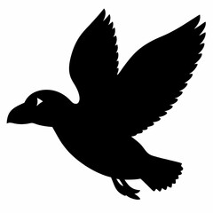 Puffin vector illustration, bird  isolated on white, Puffin silhouette, Puffin  vector art