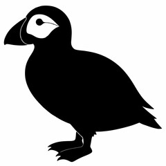 Puffin vector illustration, bird  isolated on white, Puffin silhouette, Puffin  vector art