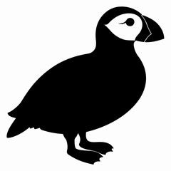Puffin vector illustration, bird  isolated on white, Puffin silhouette, Puffin  vector art