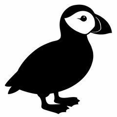 Puffin vector illustration, bird  isolated on white, Puffin silhouette, Puffin  vector art