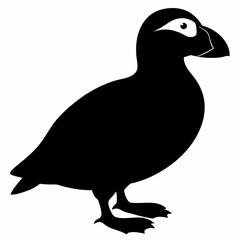 Puffin vector illustration, bird  isolated on white, Puffin silhouette, Puffin  vector art