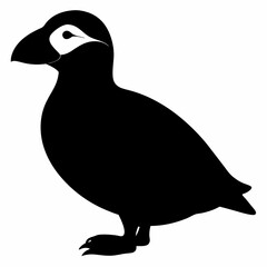 Puffin vector illustration, bird  isolated on white, Puffin silhouette, Puffin  vector art