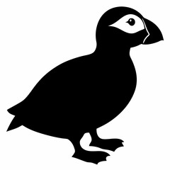 Puffin vector illustration, bird  isolated on white, Puffin silhouette, Puffin  vector art