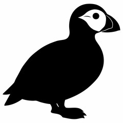 Puffin vector illustration, bird  isolated on white, Puffin silhouette, Puffin  vector art