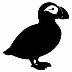 Puffin vector illustration, bird  isolated on white, Puffin silhouette, Puffin  vector art