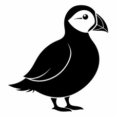 Puffin vector illustration, bird  isolated on white, Puffin silhouette, Puffin  vector art