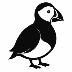 Puffin vector illustration, bird  isolated on white, Puffin silhouette, Puffin  vector art