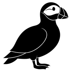 Puffin vector illustration, bird  isolated on white, Puffin silhouette, Puffin  vector art