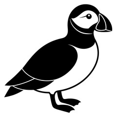 Puffin vector illustration, bird  isolated on white, Puffin silhouette, Puffin  vector art