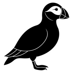 Puffin vector illustration, bird  isolated on white, Puffin silhouette, Puffin  vector art
