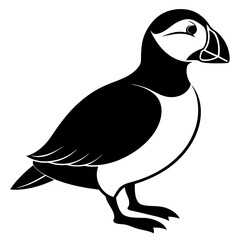 Puffin vector illustration, bird  isolated on white, Puffin silhouette, Puffin  vector art