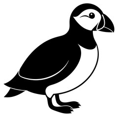 Puffin vector illustration, bird  isolated on white, Puffin silhouette, Puffin  vector art