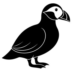 Puffin vector illustration, bird  isolated on white, Puffin silhouette, Puffin  vector art