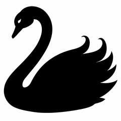 Swan vector illustration, bird  isolated on white, Swan silhouette, Swan  vector art