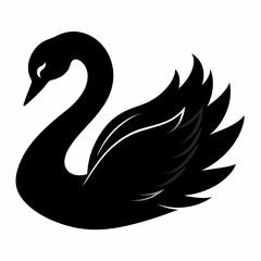 Swan vector illustration, bird  isolated on white, Swan silhouette, Swan  vector art