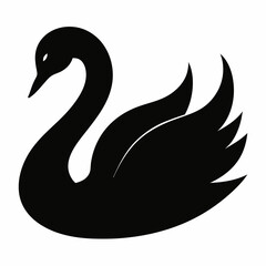 Swan vector illustration, bird  isolated on white, Swan silhouette, Swan  vector art