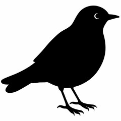 Warbler vector illustration, bird  isolated on white, Warbler silhouette, Warbler vector art