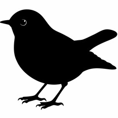 Warbler vector illustration, bird  isolated on white, Warbler silhouette, Warbler vector art