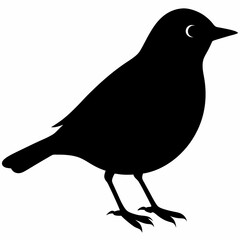 Warbler vector illustration, bird  isolated on white, Warbler silhouette, Warbler vector art