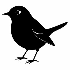 Warbler vector illustration, bird  isolated on white, Warbler silhouette, Warbler vector art
