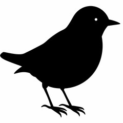 Warbler vector illustration, bird  isolated on white, Warbler silhouette, Warbler vector art