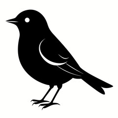 Warbler vector illustration, bird  isolated on white, Warbler silhouette, Warbler vector art