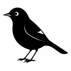 Warbler vector illustration, bird  isolated on white, Warbler silhouette, Warbler vector art
