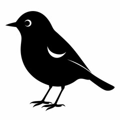 Warbler vector illustration, bird  isolated on white, Warbler silhouette, Warbler vector art