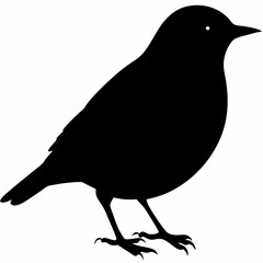 Warbler vector illustration, bird  isolated on white, Warbler silhouette, Warbler vector art