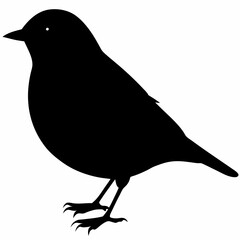 Warbler vector illustration, bird  isolated on white, Warbler silhouette, Warbler vector art