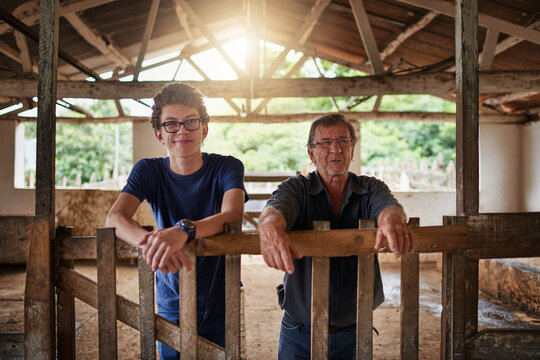Father, son and together in barn for farming with livestock, sustainability or family business for future. Male people, shed and agriculture with eco friendly practice for planet, happy in Australia