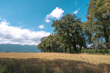 Campagne du pays de Gex , France