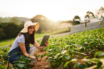 Field, farming and woman with tablet for crops, organic and growth of vegetable, outdoor and eco friendly. Person, online and smile for weather monitoring for plants, farmer and proud of produce