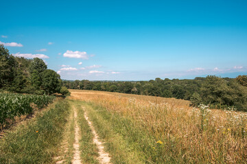 Campagne du pays de Gex , France