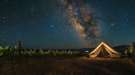 A tent in a vineyard