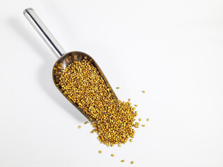 Gold masterbatch granules in a scoop on a white background.Color pigment carrier polymer in the plastic industry