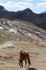 Le glacier de la Montagne arc-en-ciel 